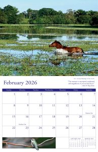 2026 Transformation Made Easy Calendar February