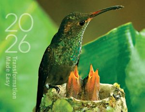 2026 Transformation Made Easy Calendar Front Cover