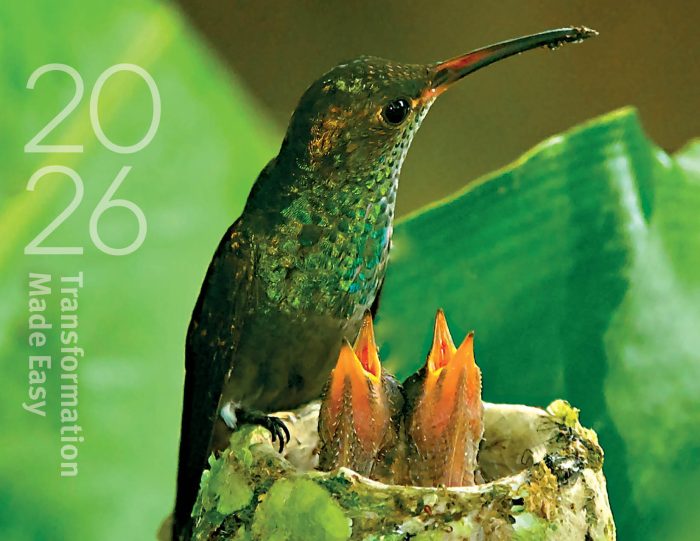 Transformation Made Easy Wall Calendar 2026