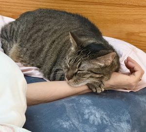 Baby laying over Ariel's wrist